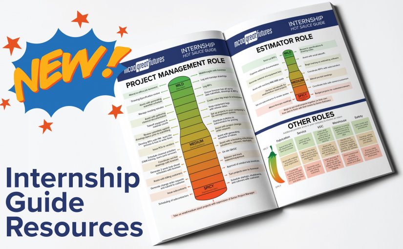 Internship Guide: New 4-in-1 Resource